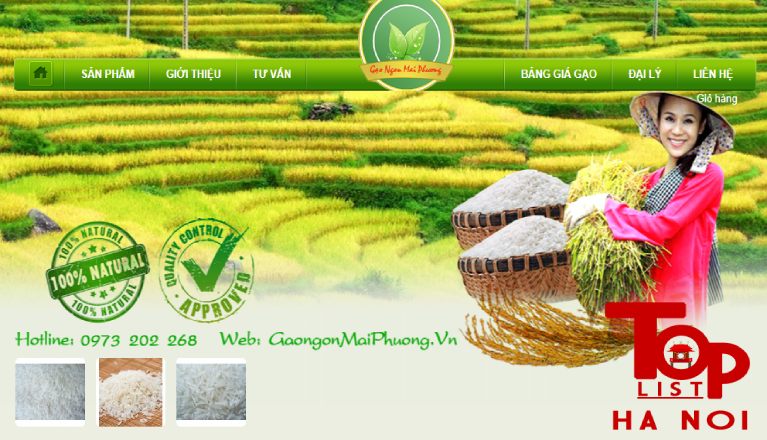 Công ty gạo Mai Phương