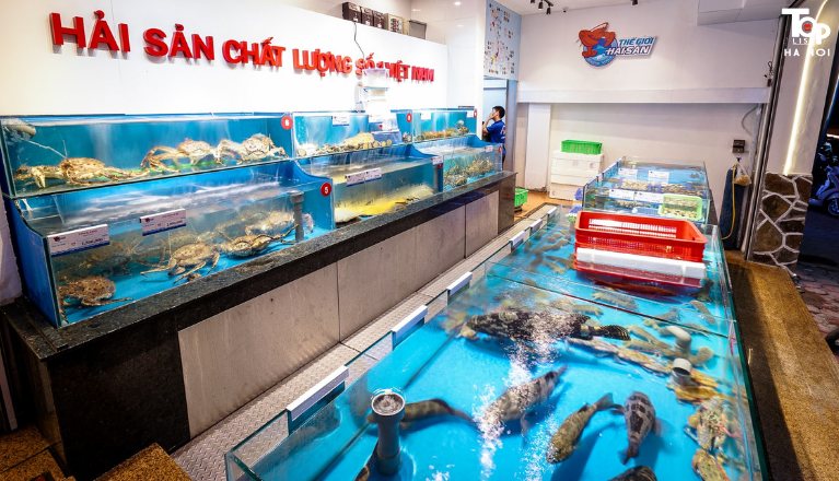 Thế giới hải sản là vựa bán tôm hùm tại Hà Nội lớn nhất